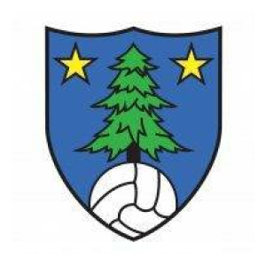 FC Saint-Léonard (8032)
